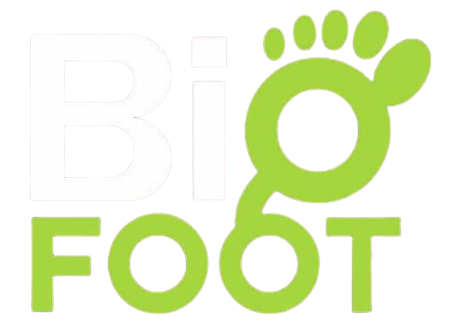 BIGFOOT E-LEARNING